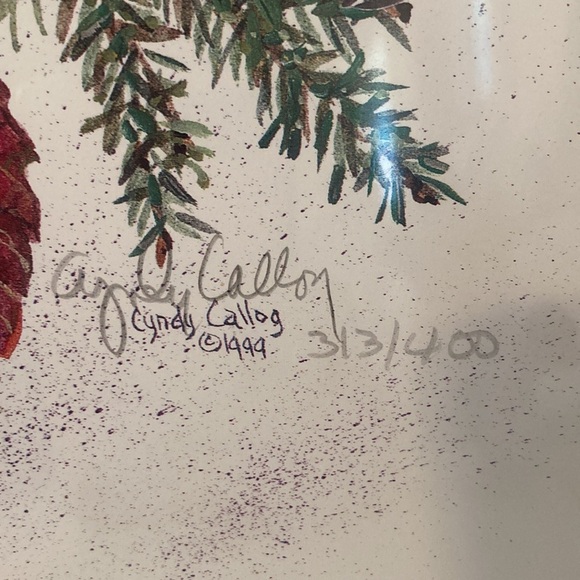 Cyndy Callog 1999 Autumn Junco Print - Picture 5 of 12